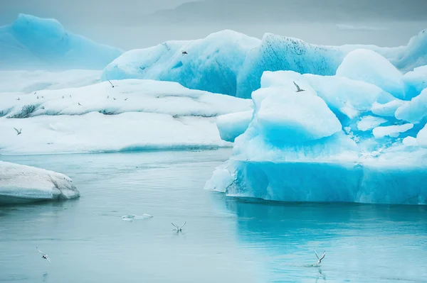 Icebergs bleus dans la lagune glaciaire de Jokulsarlon . — Photo