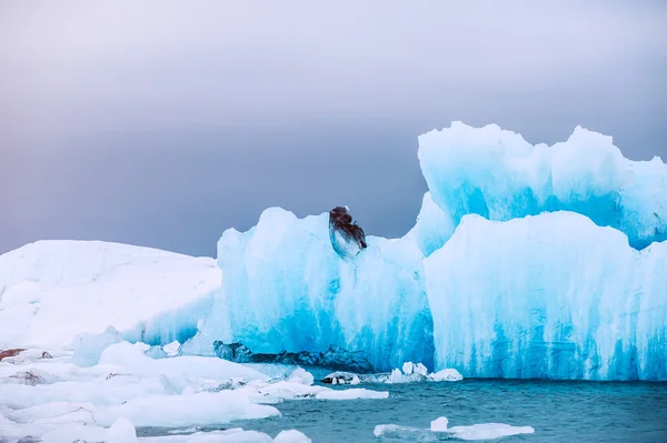 Jokulsarlon jeges lagúna kék jéghegyek. — Stock Fotó