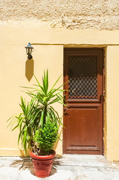 Зеленый цветок и желтая стена дома — стоковое фото