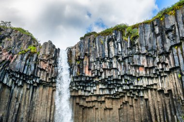 İzlanda'daki güzel Svartifoss şelale