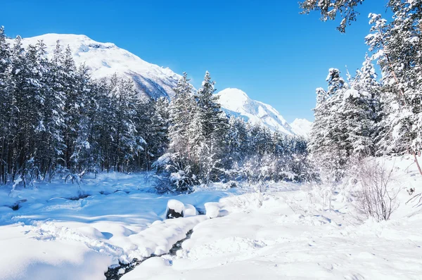 Foresta invernale e montagne dopo le nevicate — Foto Stock