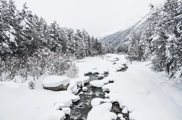 Nevicate sul fiume di montagna — Foto Stock