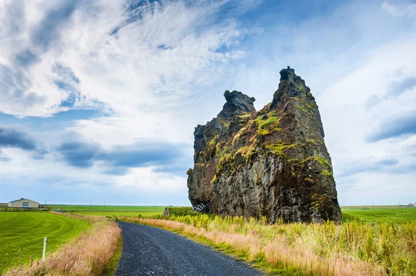 Icelandic landscape with fields and cliffs. — Stock Photo, Image