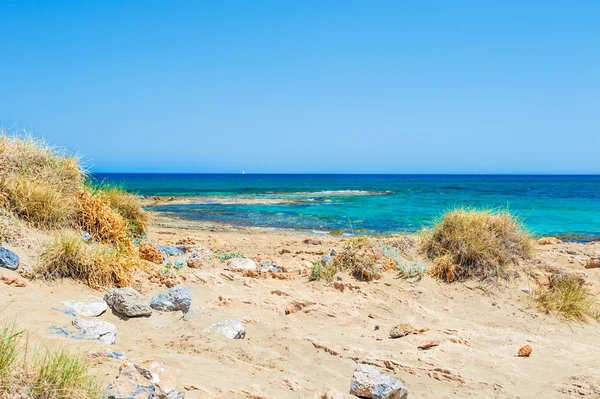 Belle plage sauvage avec eau turquoise et sable blanc — Photo