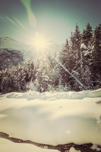 Foresta invernale e fiume di montagna nella giornata di sole . — Foto Stock