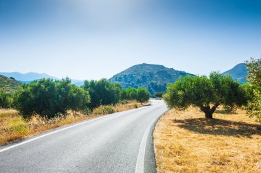 Dağlar ve bahçeleri zeytin ağaçlarının arasındaki yol