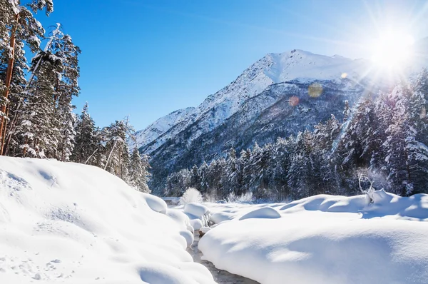 Foresta invernale e fiume di montagna nella giornata di sole . — Foto Stock