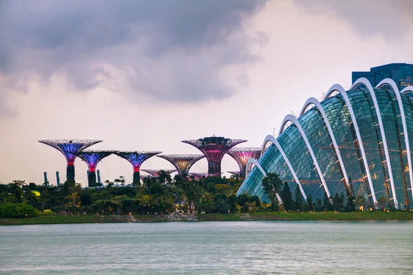 Singapore overview with Gardens by the Bay — Stock Photo, Image