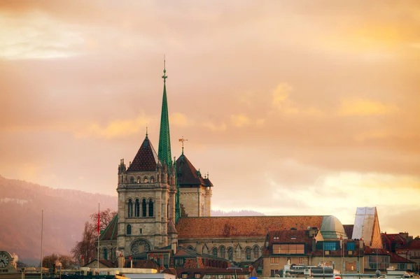 제네바에서 세인트 피에르 성당 — 스톡 사진