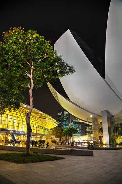 Artscience museum i singapore — Stockfoto