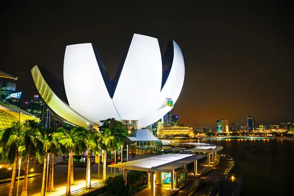 ArtScience Museum in Singapore — Stock Photo, Image