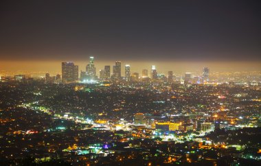 Los Angeles Cityscape