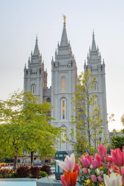Mormonlar Tapınağı, utah