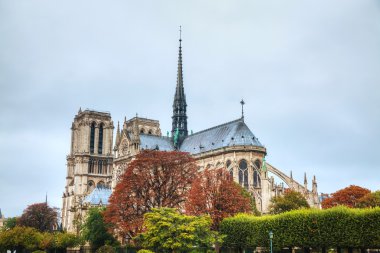 Notre dame de Paris