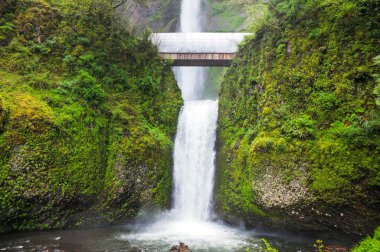 Multnomah falls Oregon