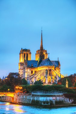 Notre Dame de Paris Katedrali