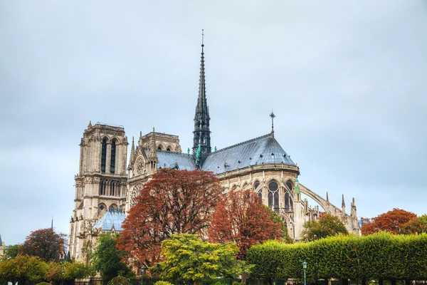 Notre dame de paris — Foto Stock