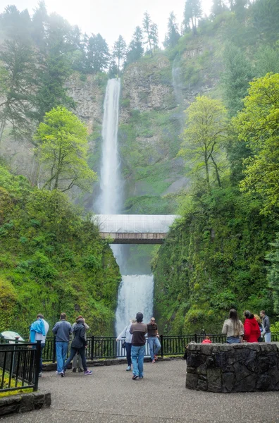 Multnomah Falls in Oregon — Stock Photo, Image