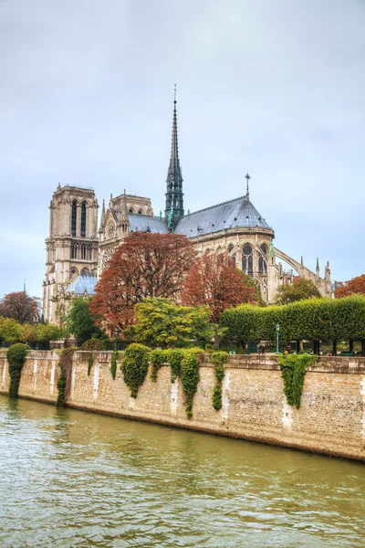 Catedral de Notre Dame de Paris —  Fotos de Stock