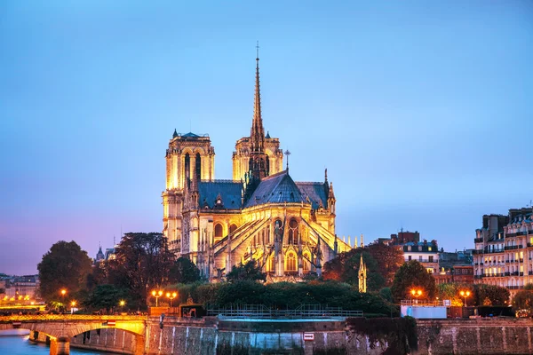 Catedral de Notre Dame de Paris — Foto de Stock