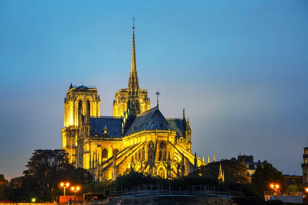 Katedra Notre Dame de Paris — Zdjęcie stockowe