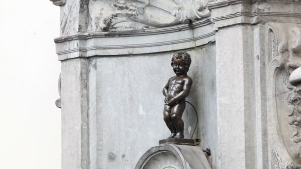 Manneken Pis, Brussels — Stock Video