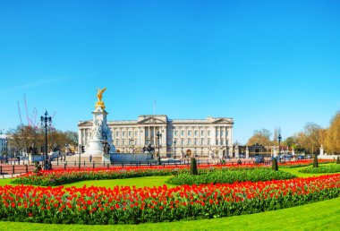 Buckingham palace panoramic overview clipart