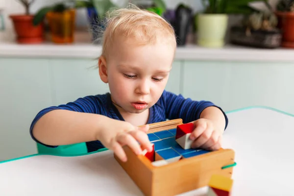 Bebê Brincando Com Blocos Madeira Criando Padrão Jogo Nikitin Unicube — Fotografia de Stock