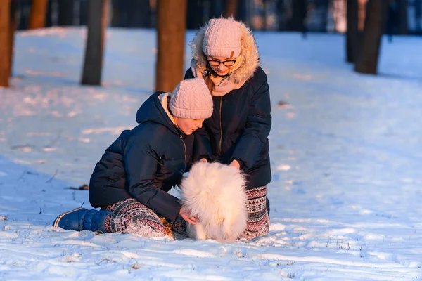 Meninas Adolescentes Bonitas Divertindo Com Spitz Cão Parque Inverno — Fotografia de Stock