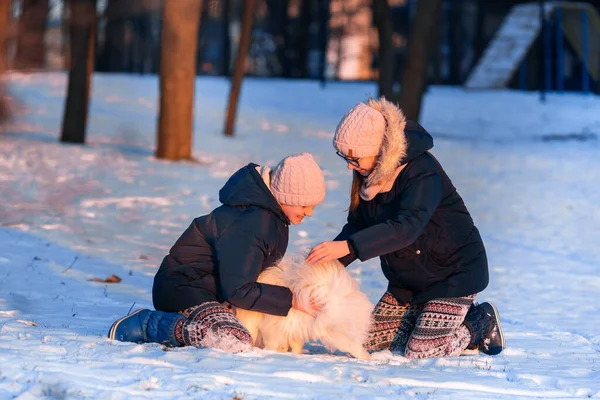 美しい十代の女の子持っています楽しいですSpitz犬で公園で冬 — ストック写真