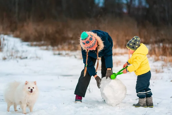 Crianças Felizes Fazendo Uma Grande Bola Neve Para Fazer Boneco — Fotografia de Stock