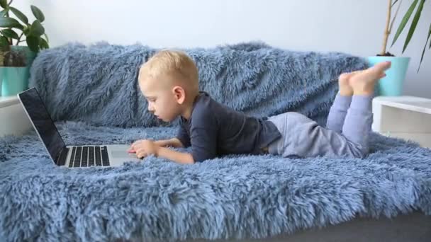 Lindo Niño Jugando Ordenador Portátil Casa Sofá Educación Distancia Línea — Vídeos de Stock