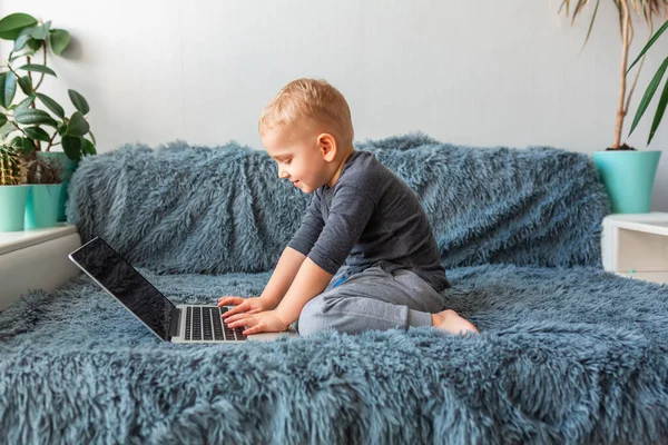 幼い男の子が自宅のソファでノートパソコンで遊んでいる 電子学習 距離学習 距離通信の概念 — ストック写真