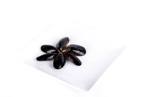 Group Half Opened Mussels Shellfishes Set Flower Plate White Background — Stock Photo, Image