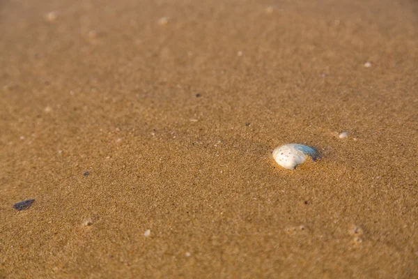 Vague douce de la mer sur la plage de sable fin — Photo