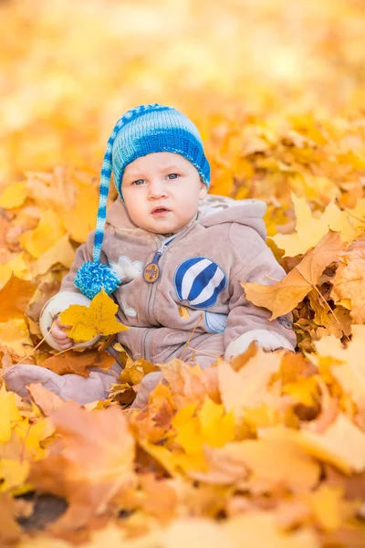 Cute baby in autumn leasves. — Stock Photo, Image