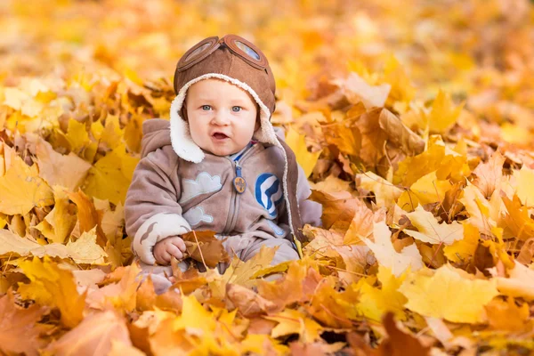 Cute baby in autumn leasves. — Stock Photo, Image
