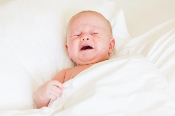 Peaceful bebê recém-nascido chorando — Fotografia de Stock