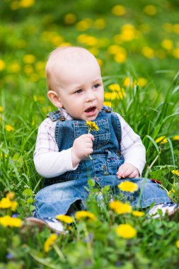 Karahindiba ile bir Çimenlikte oturan erkek sevimli bebek