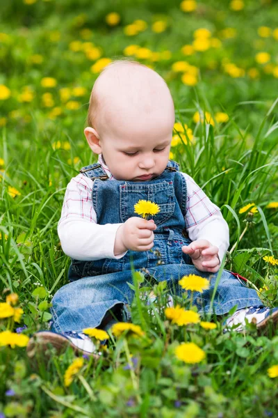 タンポポの芝生の上に座っているかわいい男の子 — ストック写真