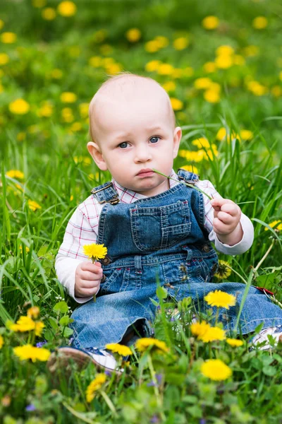 Cute baby boy sitting on a lawn with dandelions — Stock Photo, Image
