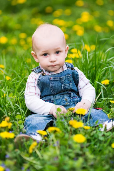 Милый мальчик сидит на лужайке с одуванчиками — стоковое фото
