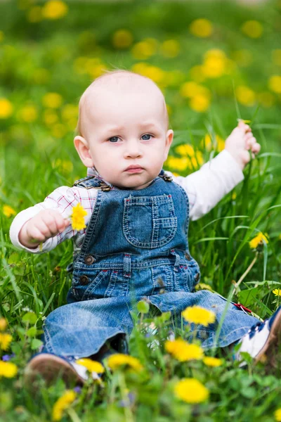 Söt baby pojke sitter på en gräsmatta med maskrosor — Stockfoto
