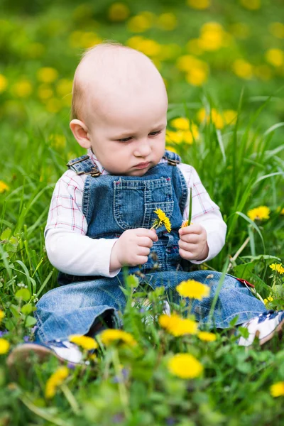 Милый мальчик сидит на лужайке с одуванчиками — стоковое фото