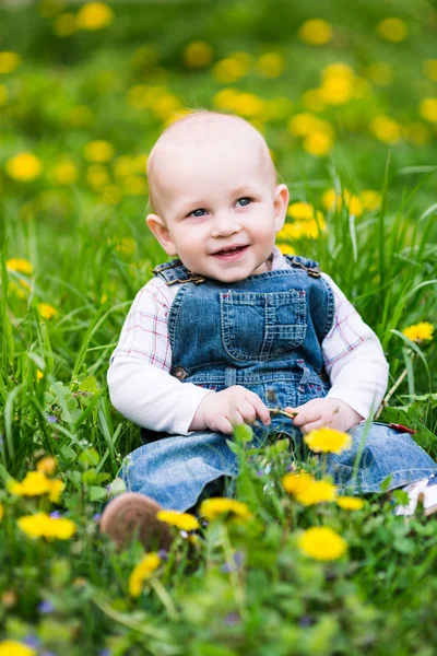 Bonito menino sentado em um gramado com dentes-de-leão — Fotografia de Stock