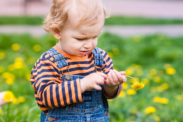 Karahindiba ile bir çimenlikte erkek sevimli bebek — Stok fotoğraf