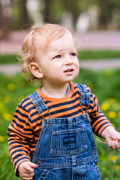 Милый мальчик на лужайке с одуванчиками — стоковое фото