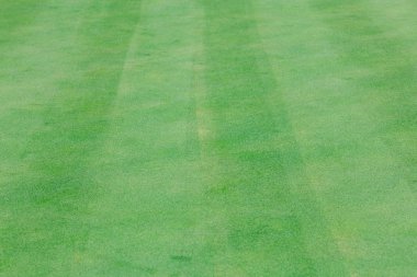 mükemmel dalgalı yeşil zemin üzerinde bir golf sahası