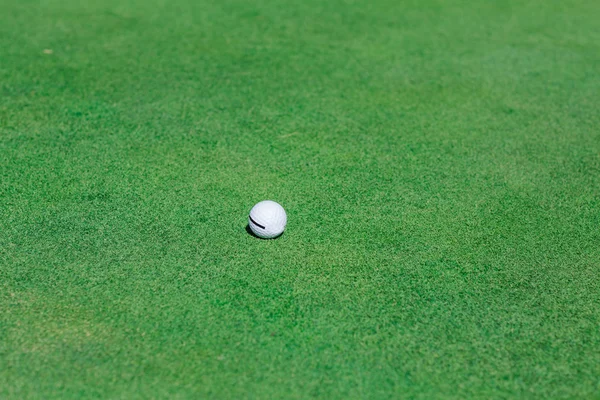 Pelota de golf en campo verde —  Fotos de Stock