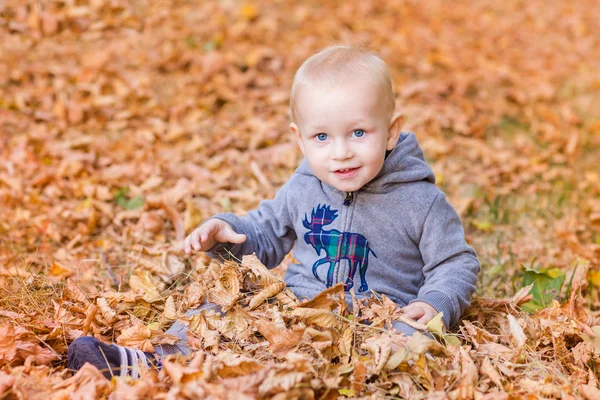 Bebê bonito em folhas de outono . — Fotografia de Stock